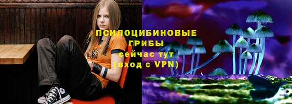 прущий лед Алексеевка